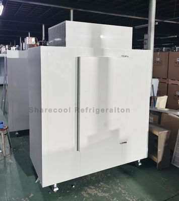 Fan Cooling 600L Indoor Ice Merchandiser Single Door Digital Temperature Control