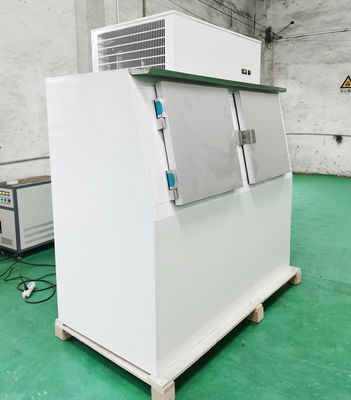 60 Cubic Feet Bagged Ice Merchandiser 1315L Outdoor For Gas Station